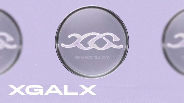 Private: [ID: LBUi1pg8Kv0] Youtube Automatic