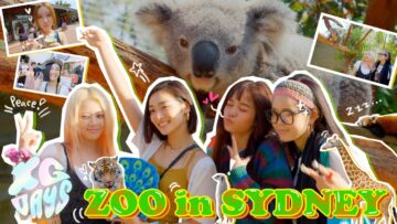 [ID: p2_jhKk2L24] Youtube Automatic