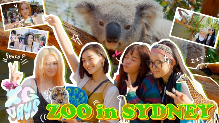 [ID: p2_jhKk2L24] Youtube Automatic