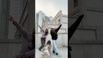 Private: [ID: 2k_r3j2F8hI] Youtube Automatic