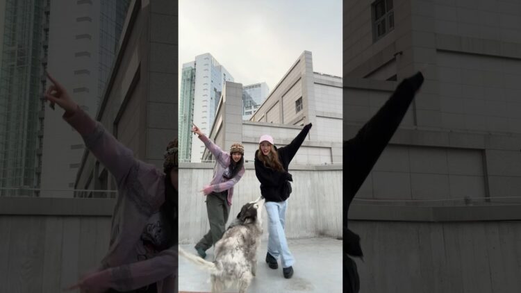 Private: [ID: 2k_r3j2F8hI] Youtube Automatic