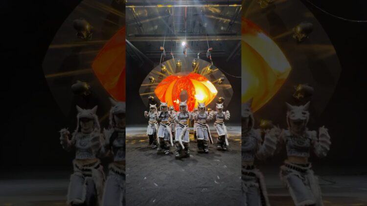 Private: [ID: DX2IMQUuC3c] Youtube Automatic