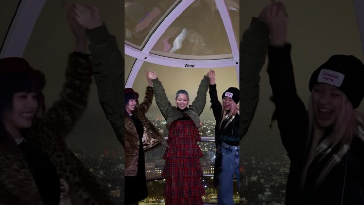 Private: [ID: hmbCfU-iY3c] Youtube Automatic