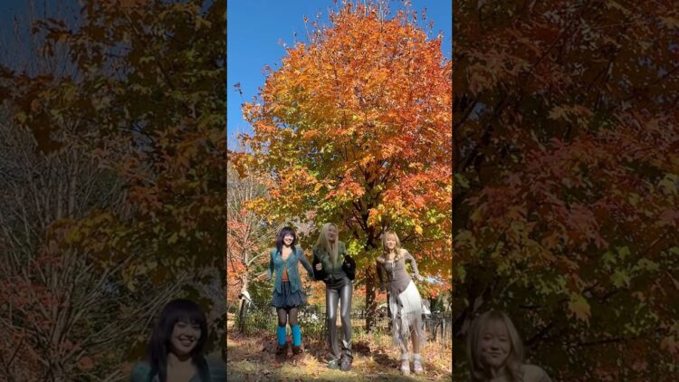 Private: [ID: -WaHN69XJmw] Youtube Automatic