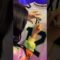 𝐗𝐆 𝐡𝐚𝐥𝐥 𝐨𝐟 𝐟𝐚𝐦𝐞 𝐰𝐡𝐞𝐧(🤍˙³˙)⟡ ݁₊ .?#XG #XGALX